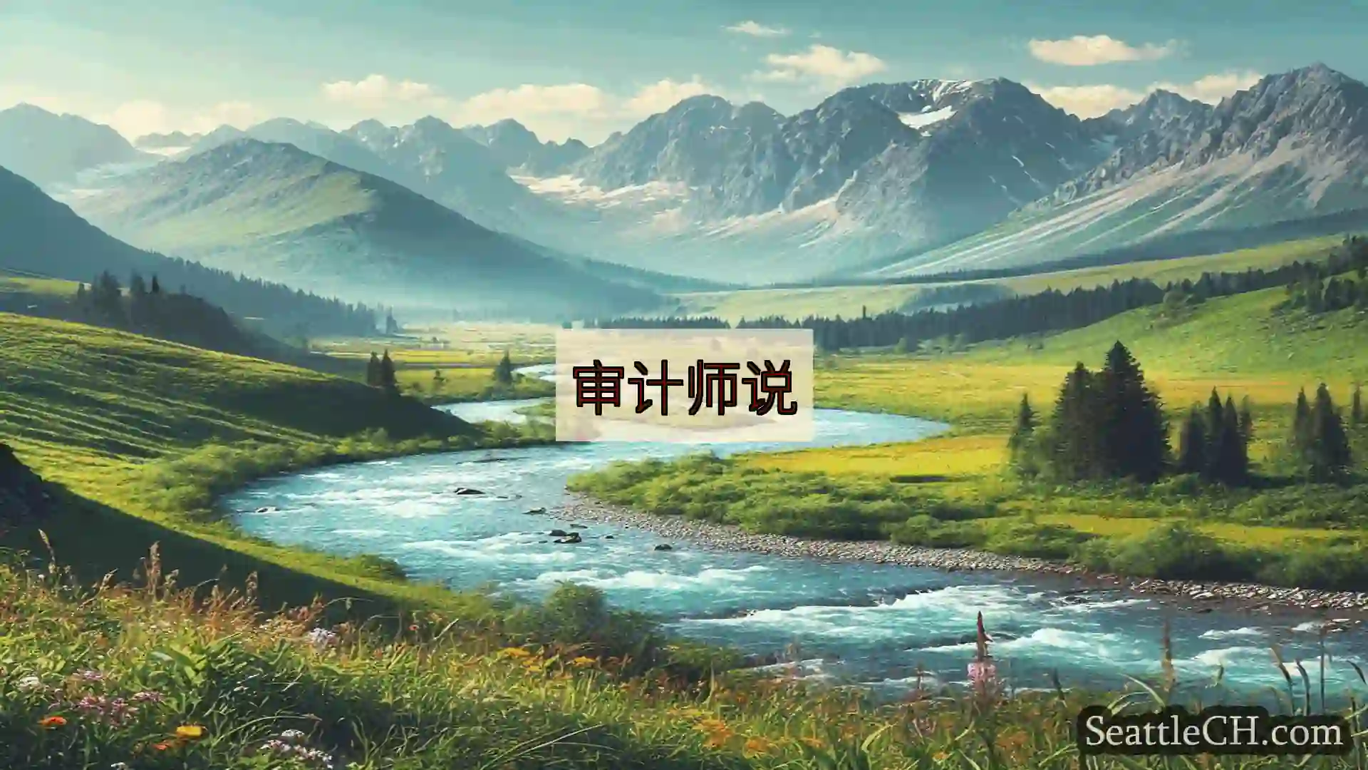 西雅图新闻 审计师说