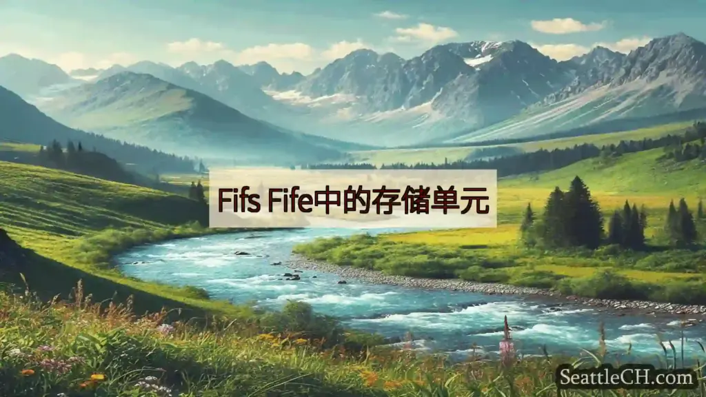 西雅图新闻 Fifs Fife中的存储单元
