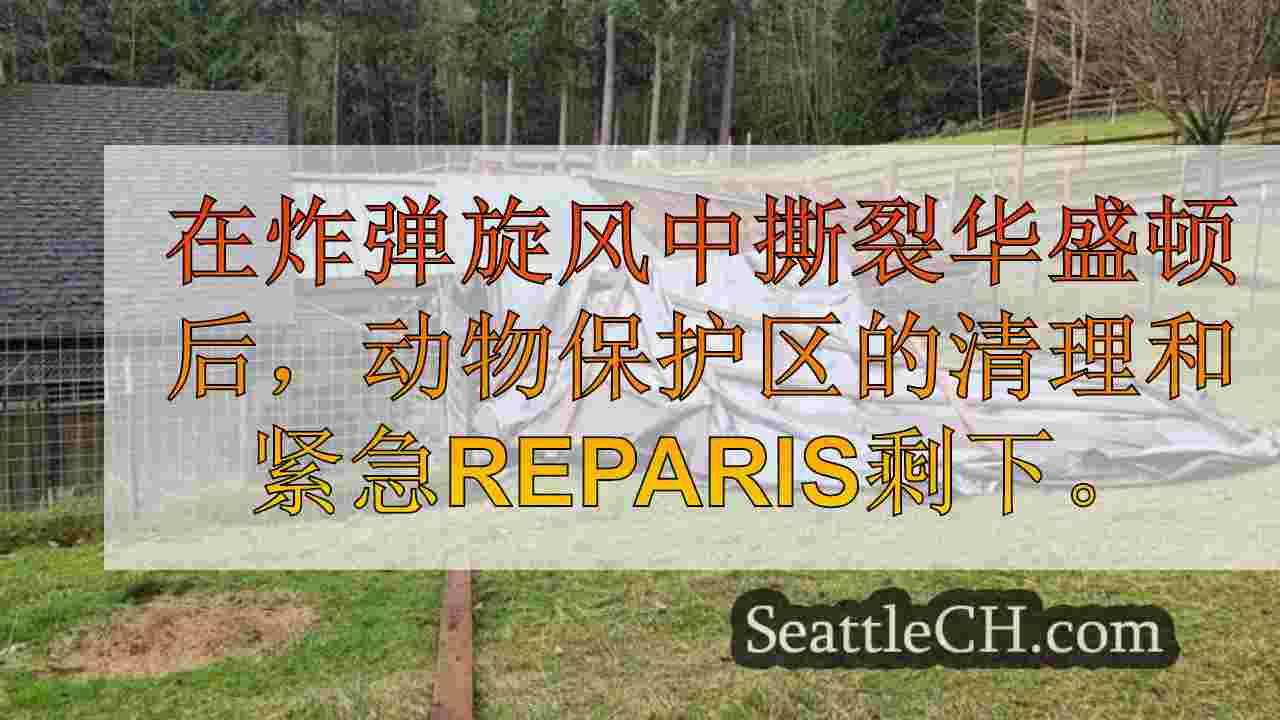 西雅图新闻 SeattleCH