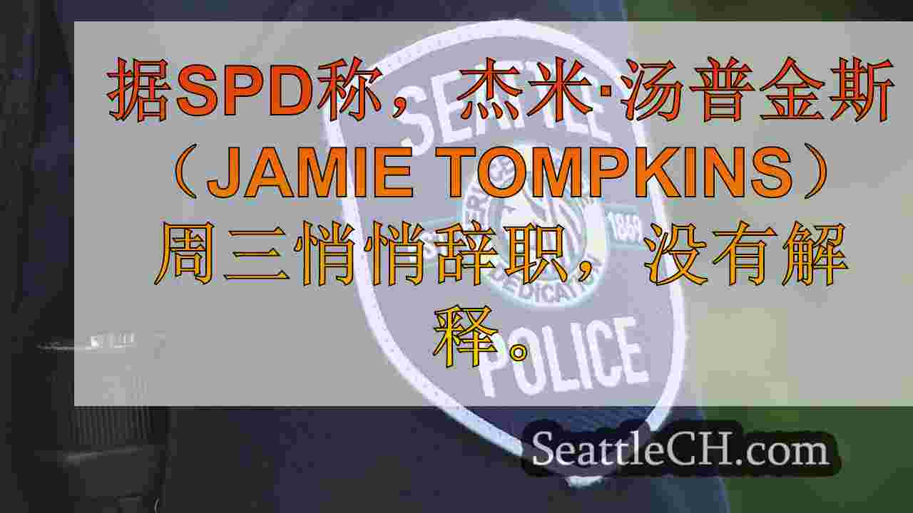 SPD参谋长突然在指控欺骗的指控中辞职，加剧了猜测