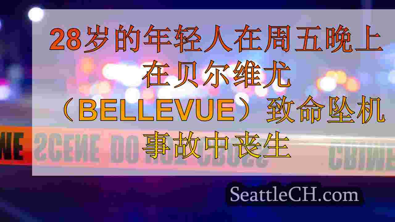 28岁的年轻人在周五晚上在贝尔维尤（Bellevue）致命坠机事故中丧生