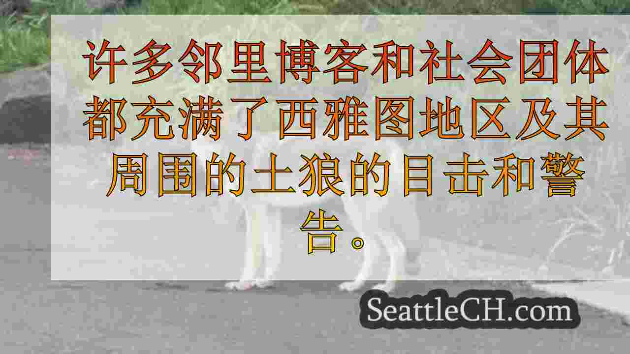 西雅图新闻 SeattleCH