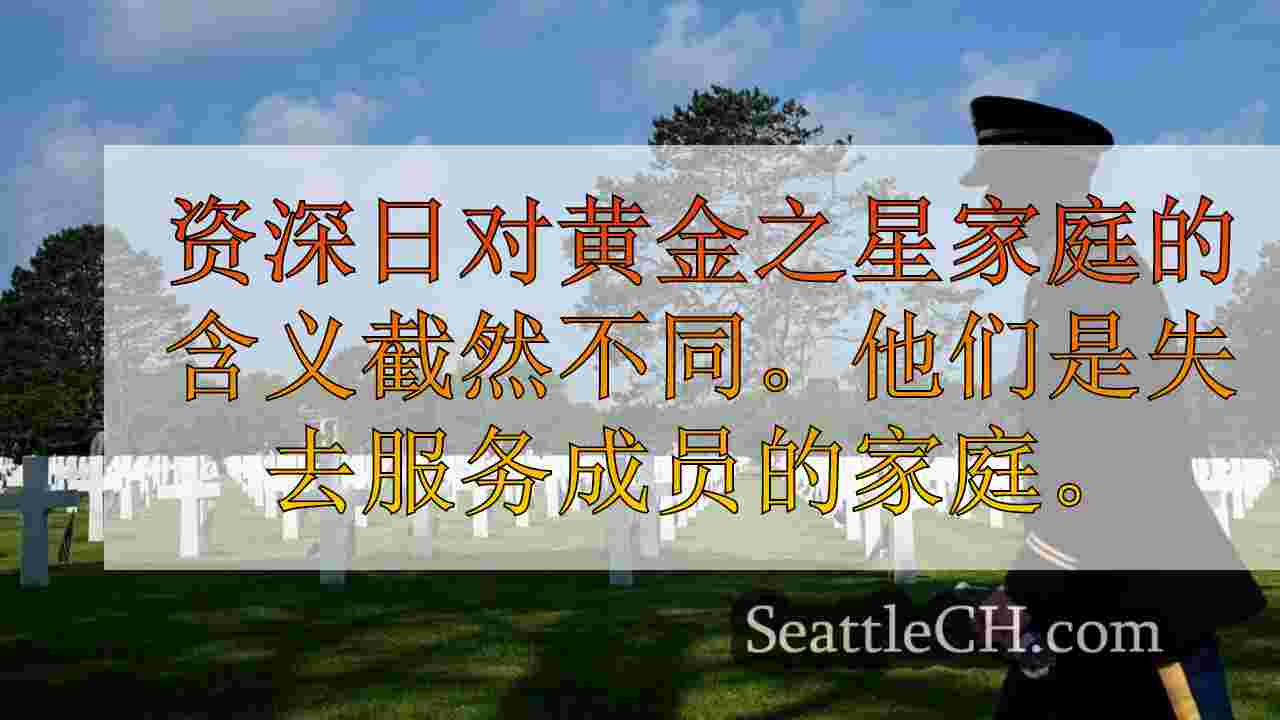 南部声音退伍军人尊重死于自杀的老将