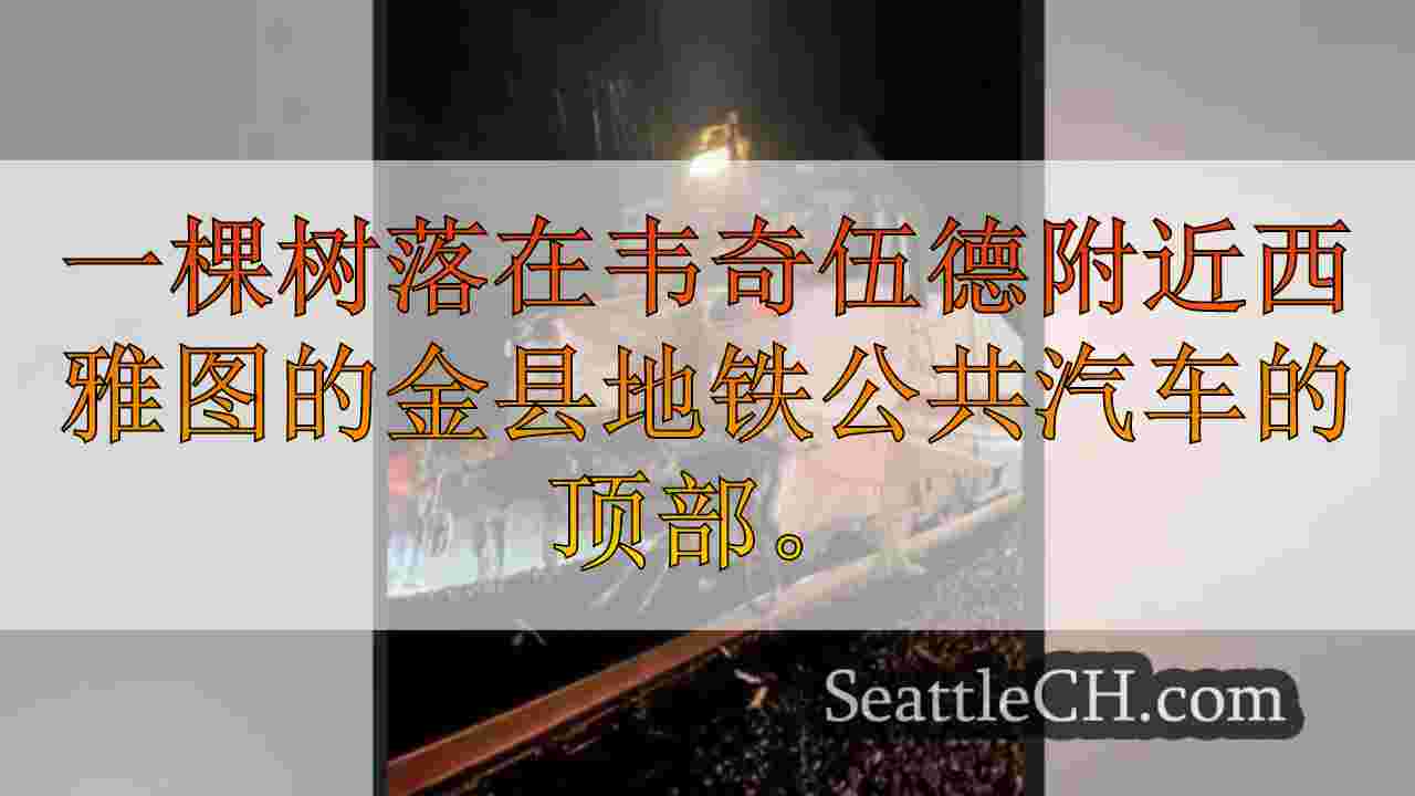 密切要求WA大众运输，“炸弹旋风”风暴期间繁忙的交通路线