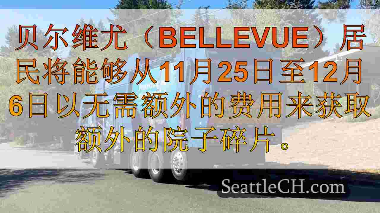 贝尔维尤（Bellevue）提供免费的院子碎片拾音器，11月25日至12月。6在