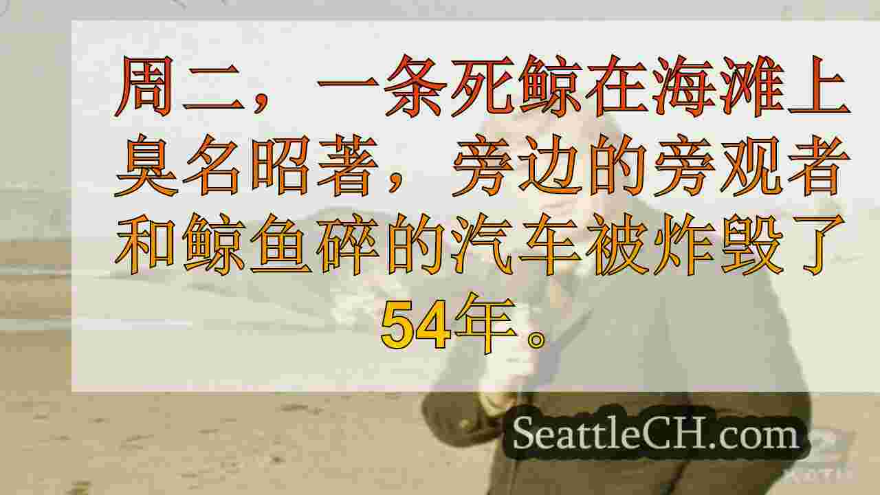 西雅图新闻 SeattleCH