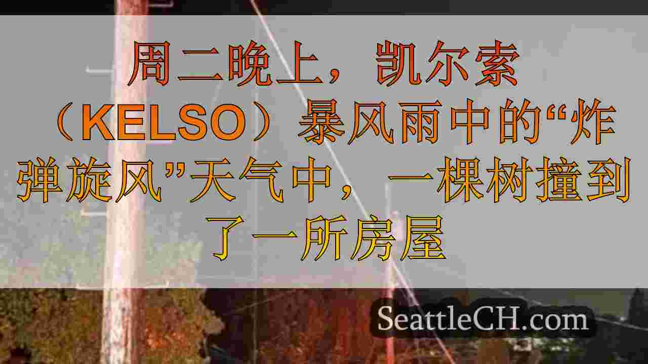 西雅图新闻 SeattleCH