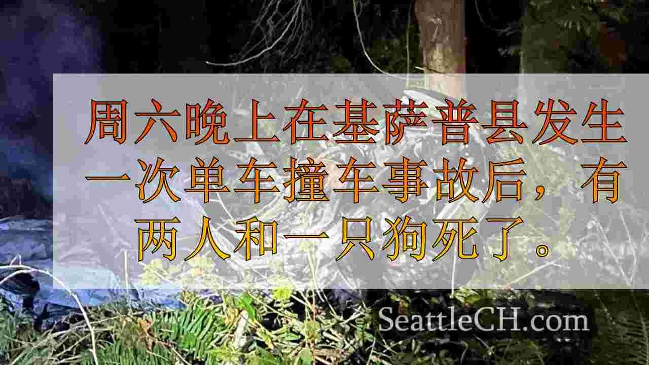 2人，狗在基萨普县撞车后死亡
