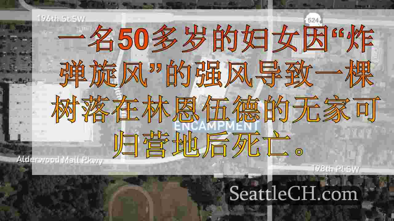 炸弹旋风中的林伍德无家可归营地被倒下的树杀死的妇女