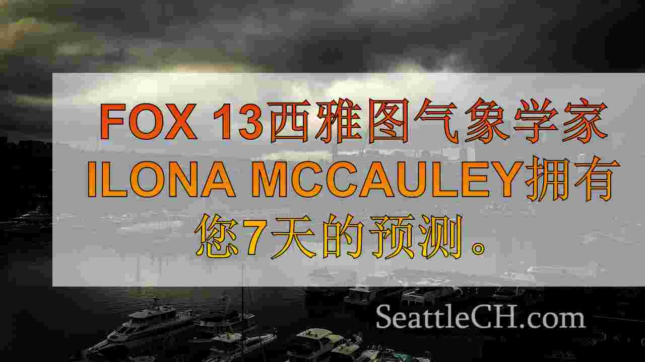 西雅图新闻 SeattleCH