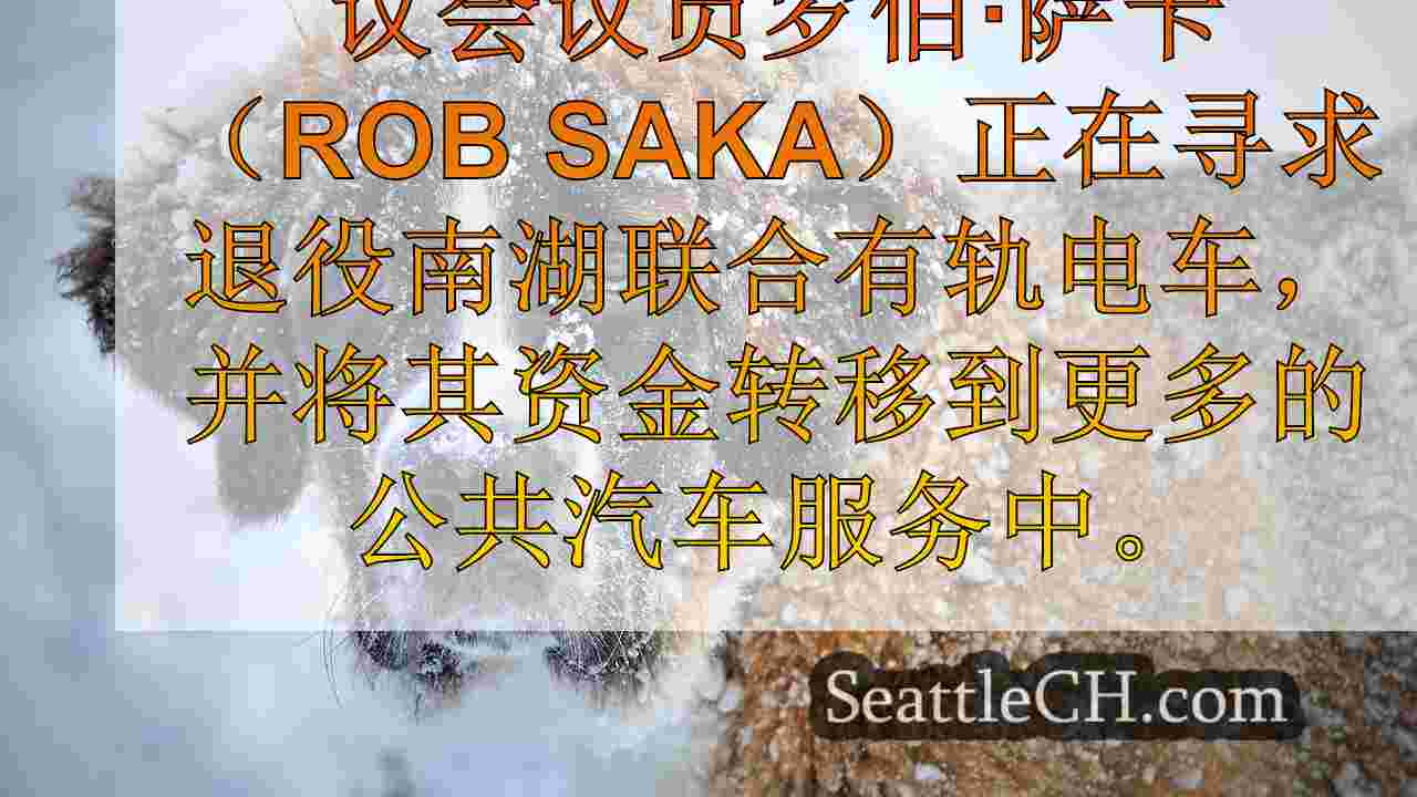 西雅图新闻 SeattleCH