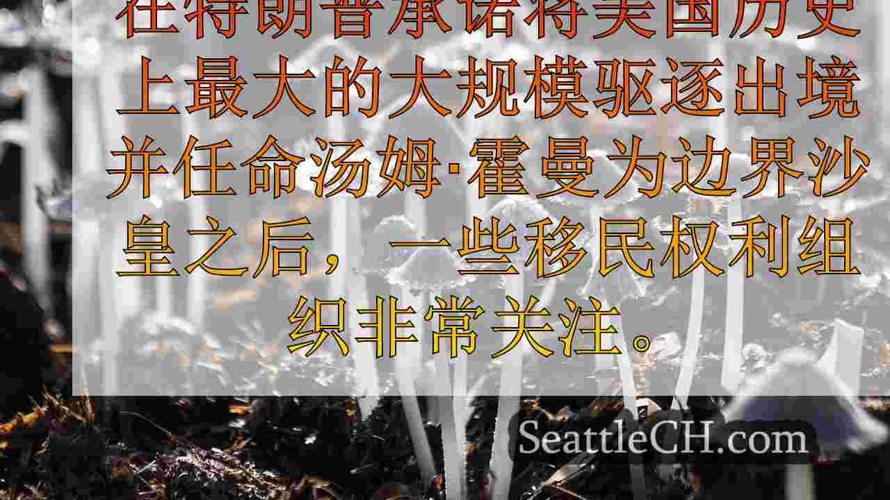 西雅图新闻 SeattleCH