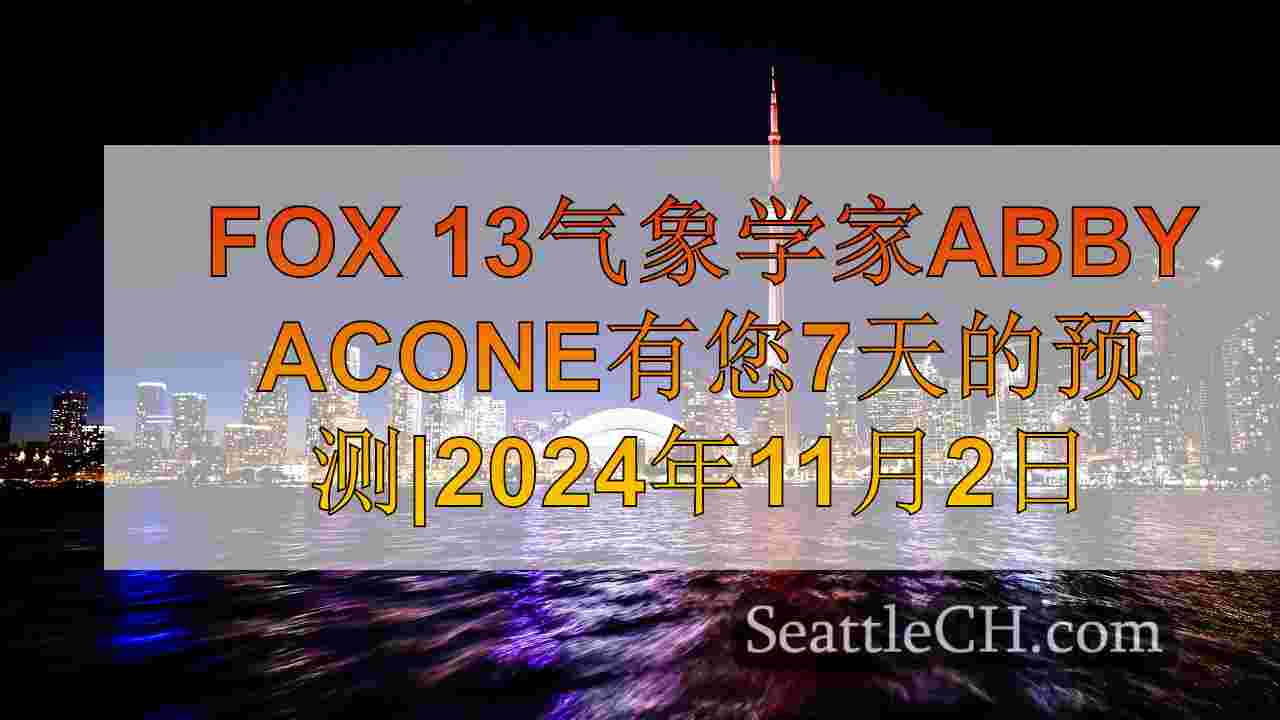 西雅图新闻 SeattleCH