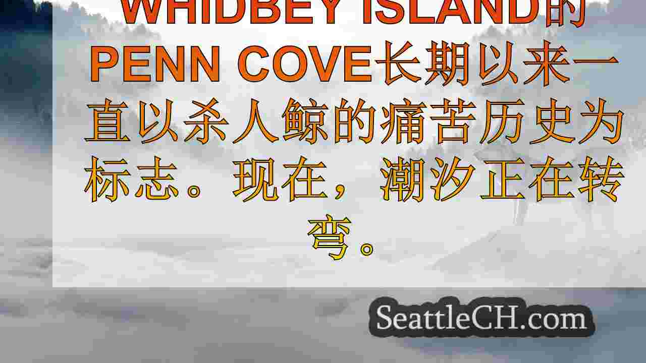西雅图新闻 SeattleCH