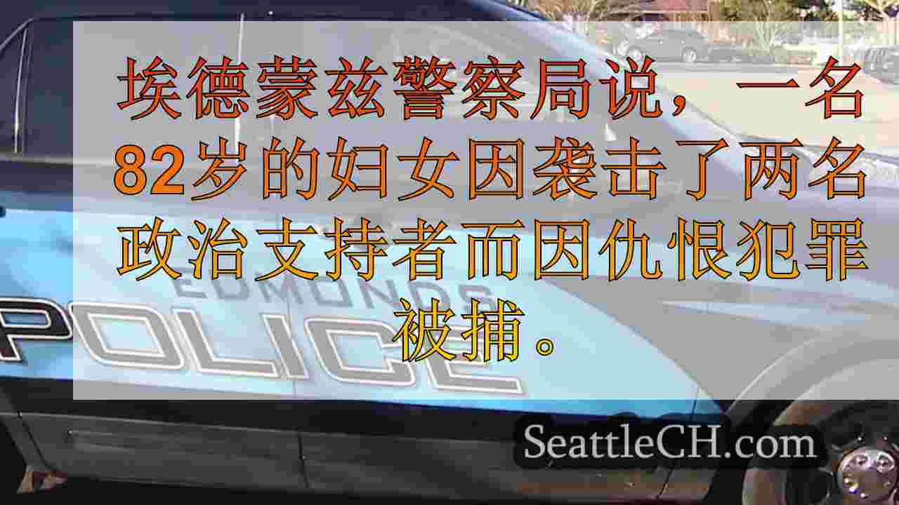 82岁的妇女因仇恨犯罪在政治集会上被捕