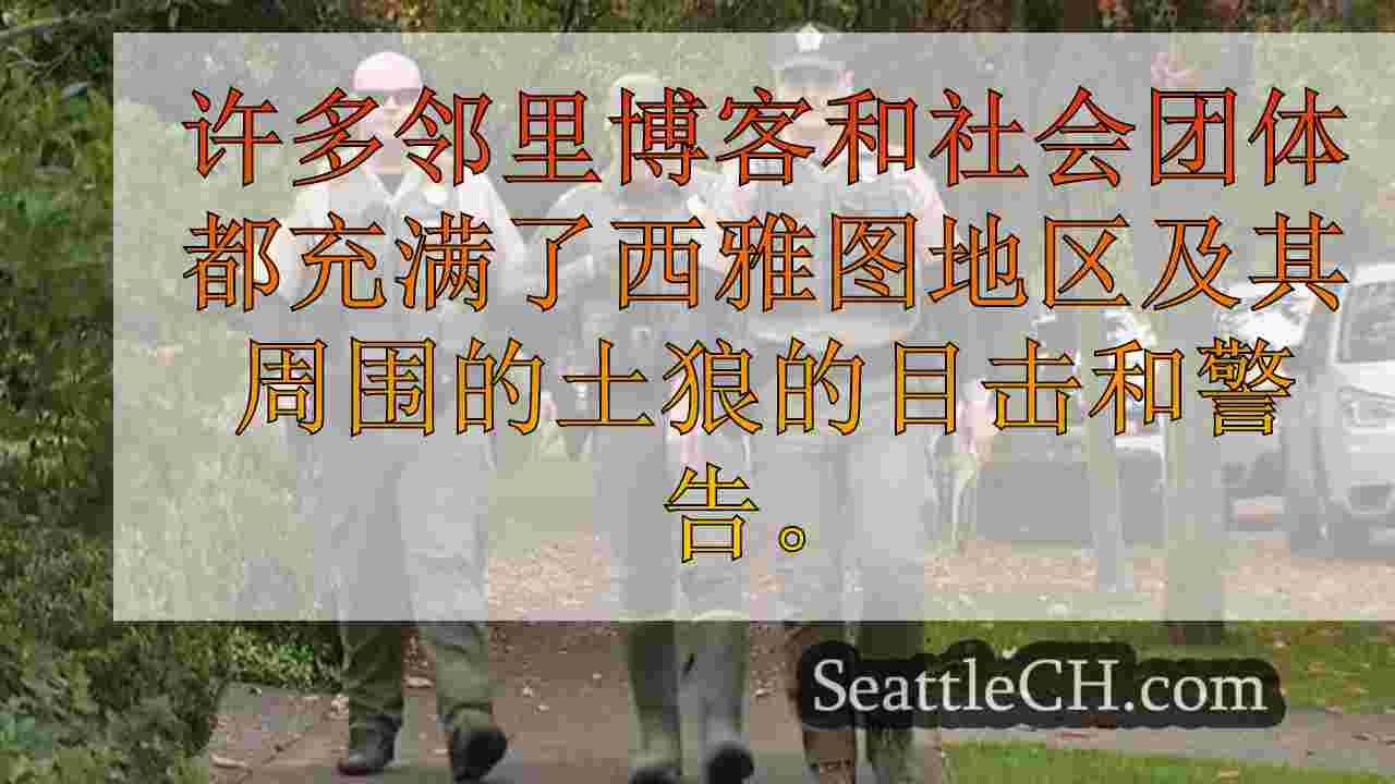 西雅图新闻 SeattleCH