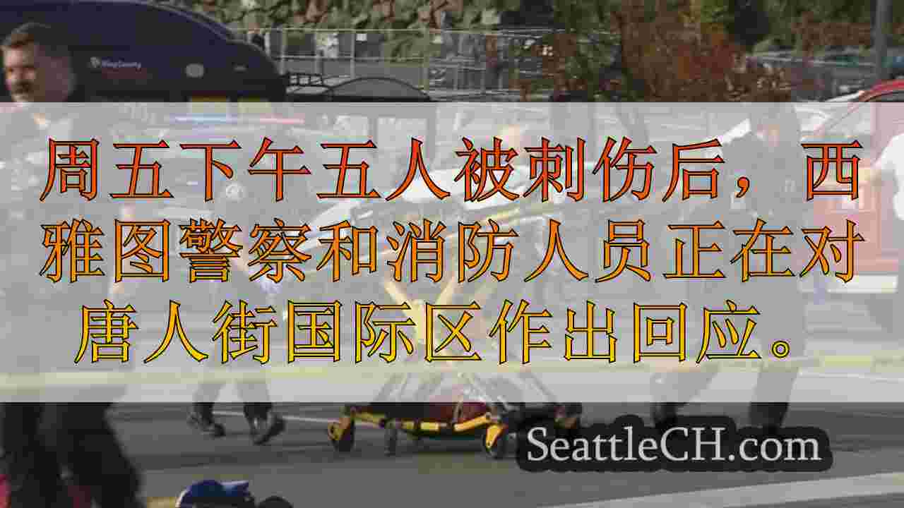 西雅图新闻 SeattleCH