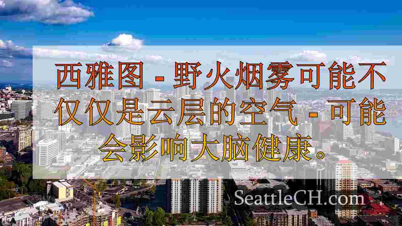 野火烟雾会放大痴呆症风险，UW研究发现