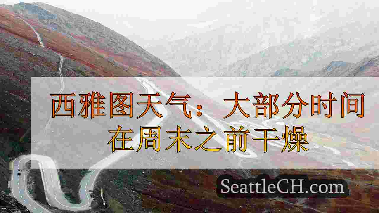 西雅图新闻 SeattleCH