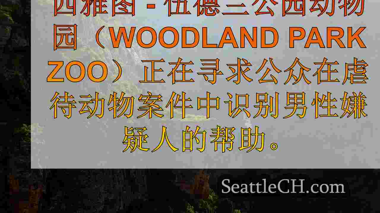 西雅图新闻 SeattleCH