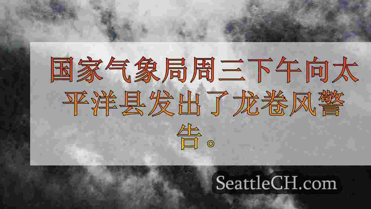 西雅图新闻 SeattleCH