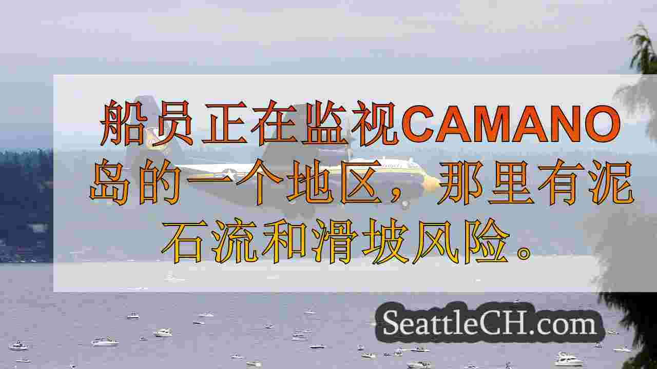 树木在Camano岛上的街上路
