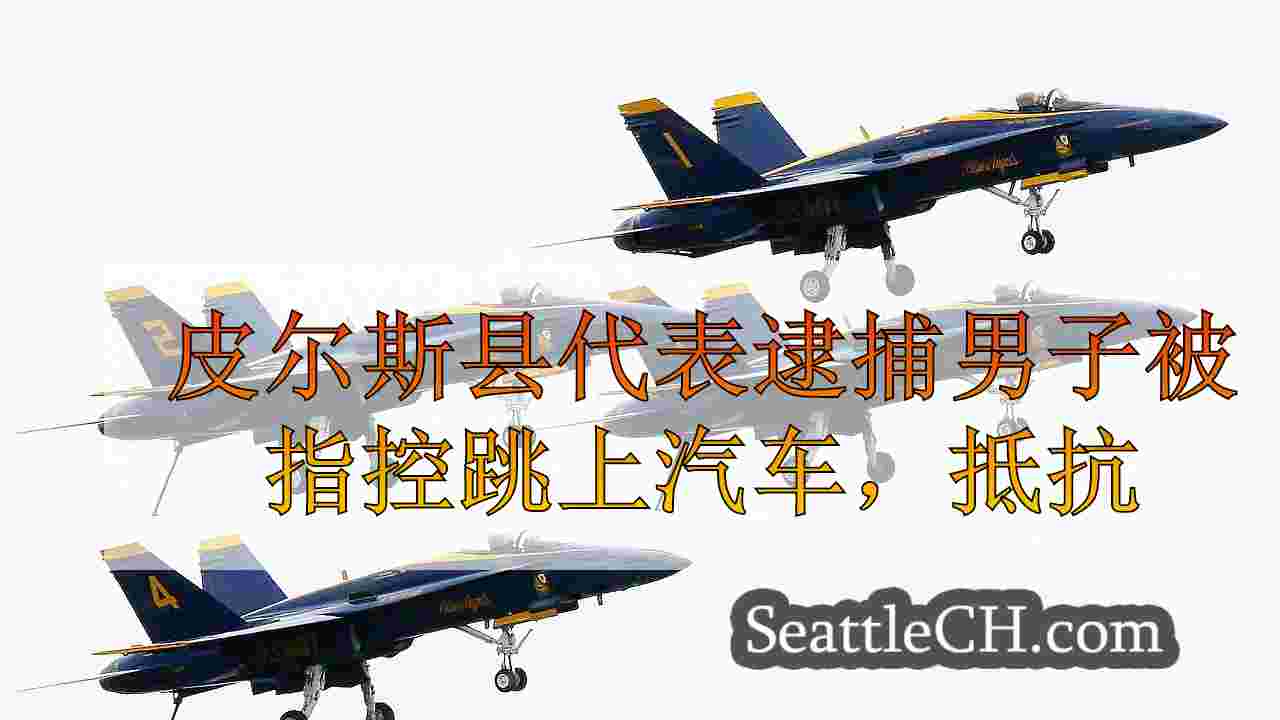 皮尔斯县代表逮捕男子被指控跳上汽车，抵抗在Puyallup中被捕
