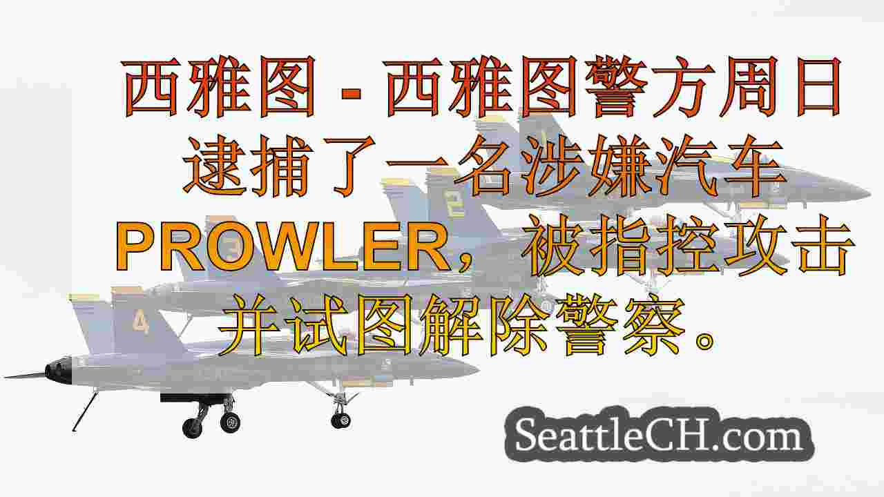 西雅图警察：男子袭击警察，试图窃取服务武器