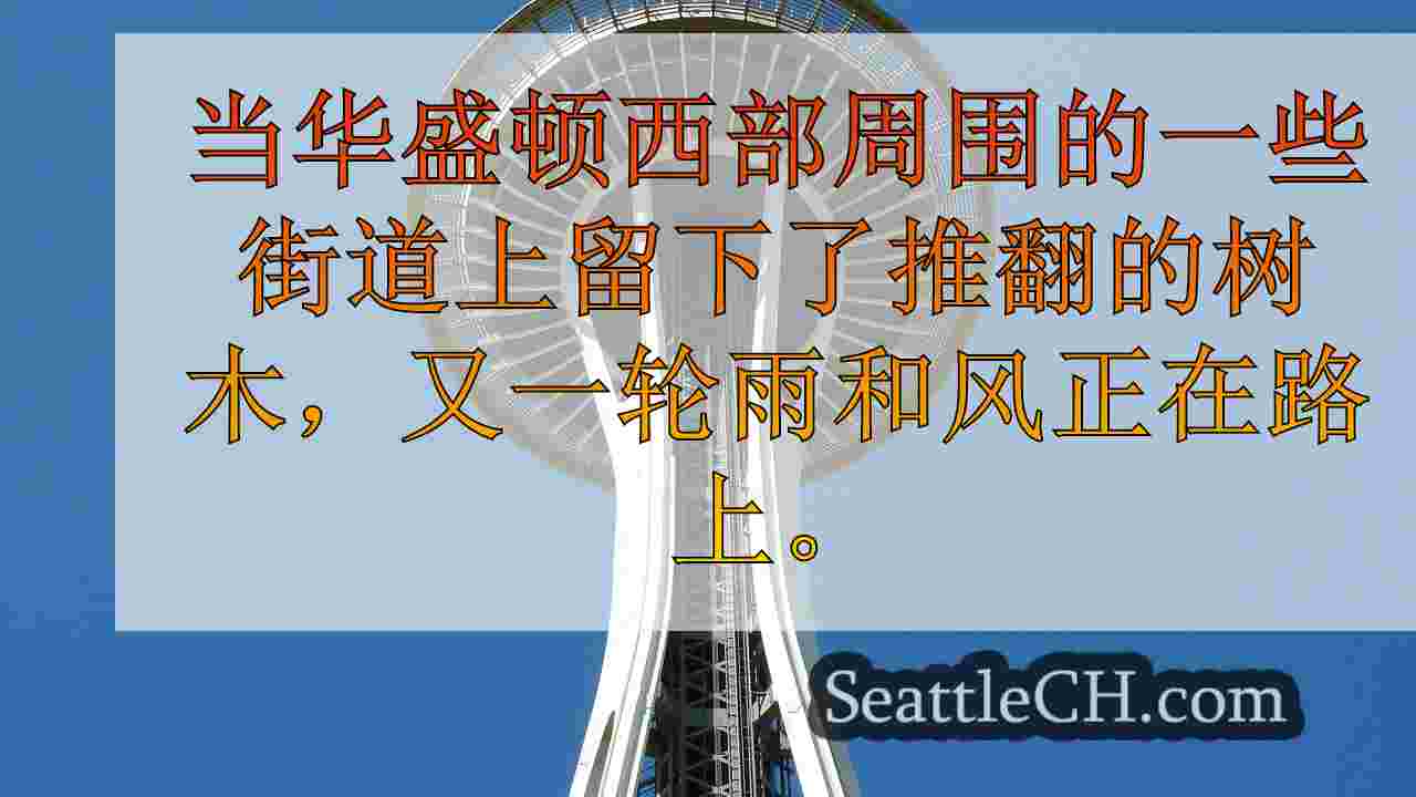 船员在西澳州西部倒下的树木为更多的风做准备