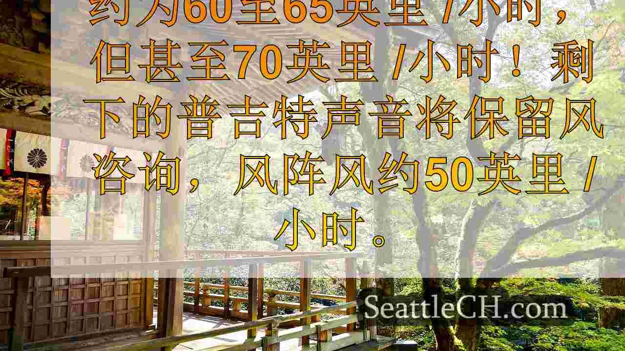西雅图新闻 SeattleCH