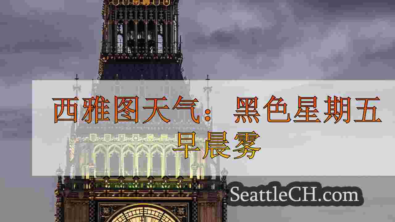 西雅图新闻 SeattleCH