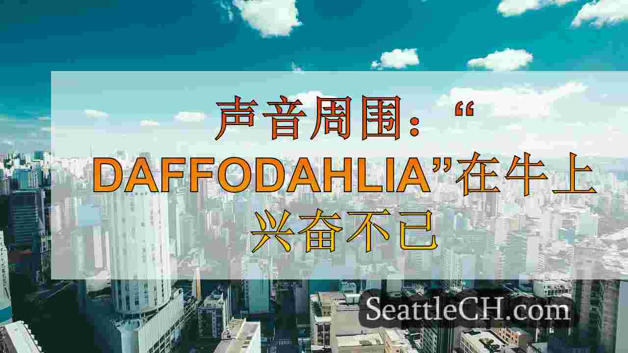 西雅图新闻 SeattleCH