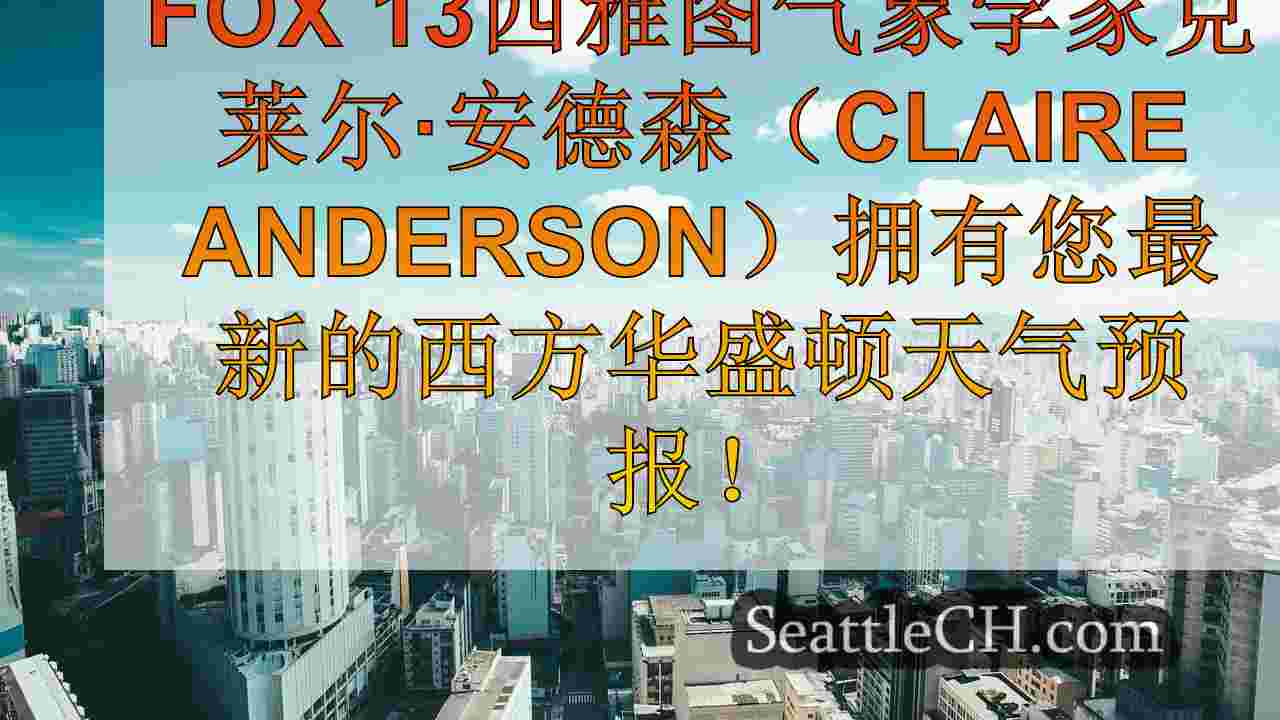西雅图新闻 SeattleCH