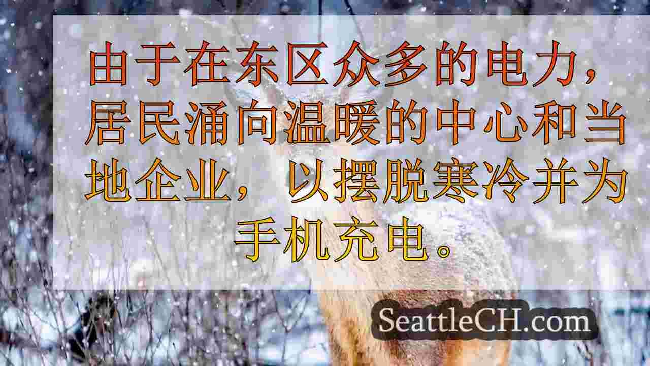 西雅图新闻 SeattleCH