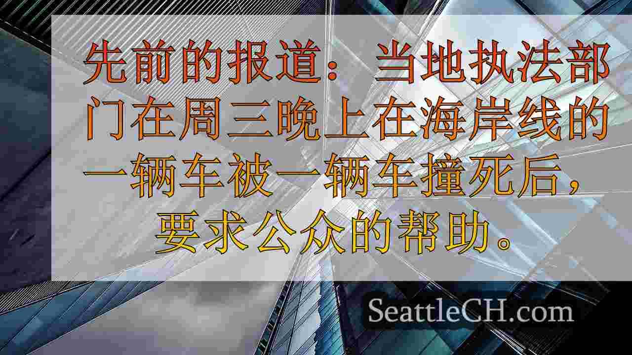 西雅图新闻 SeattleCH