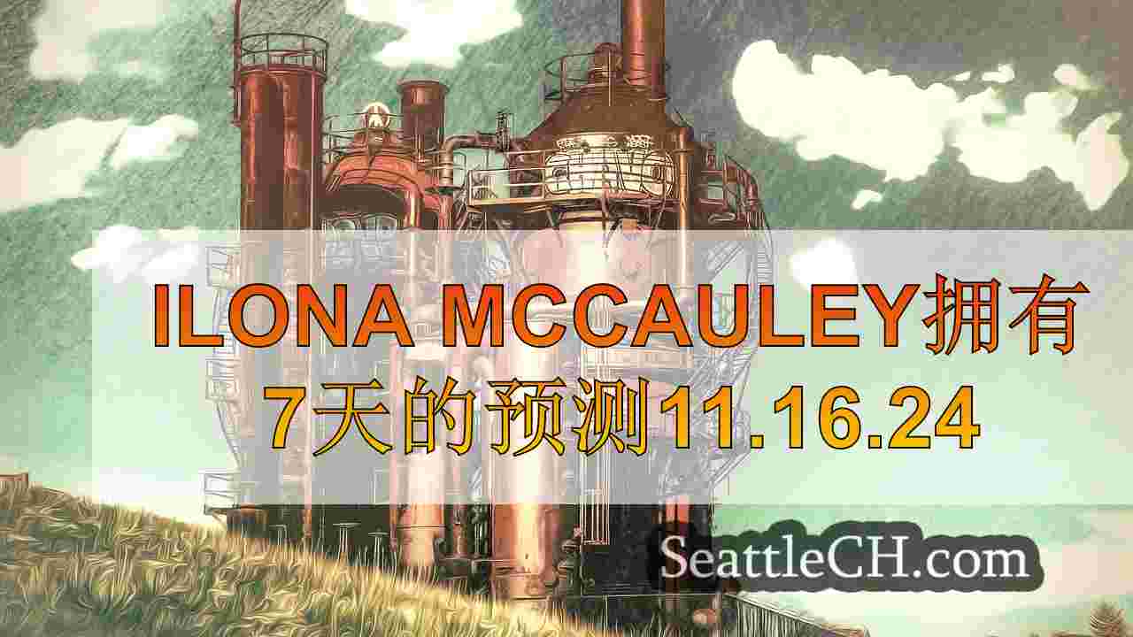 西雅图新闻 SeattleCH