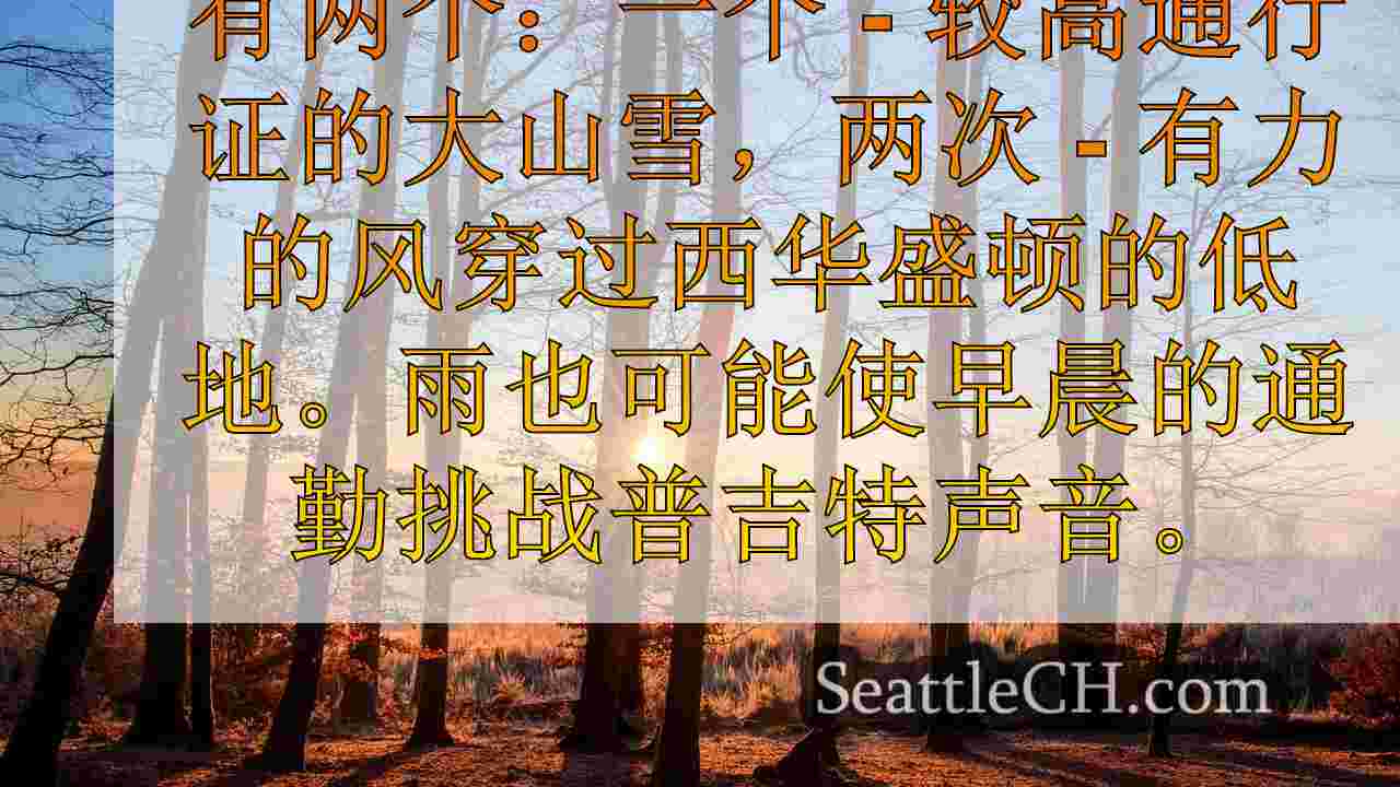 西雅图新闻 SeattleCH
