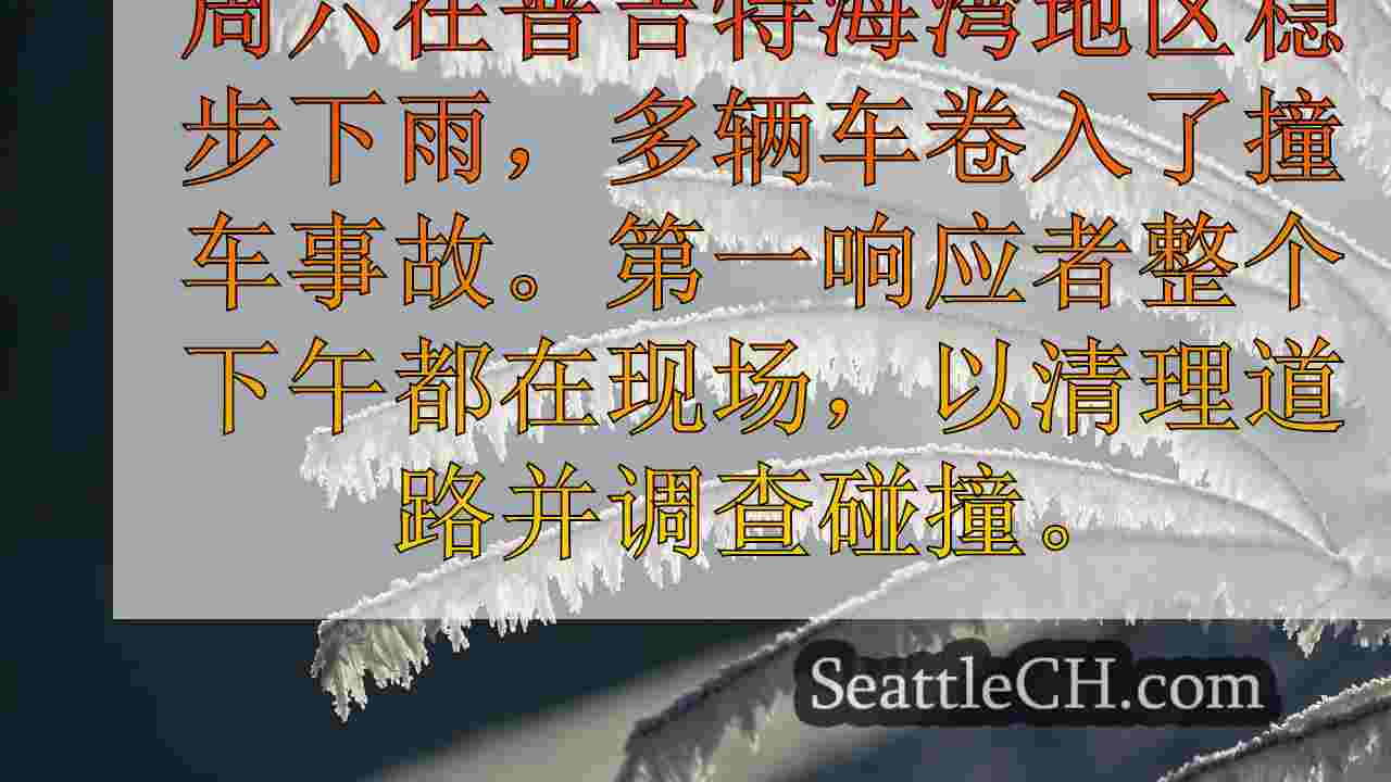 西雅图新闻 SeattleCH