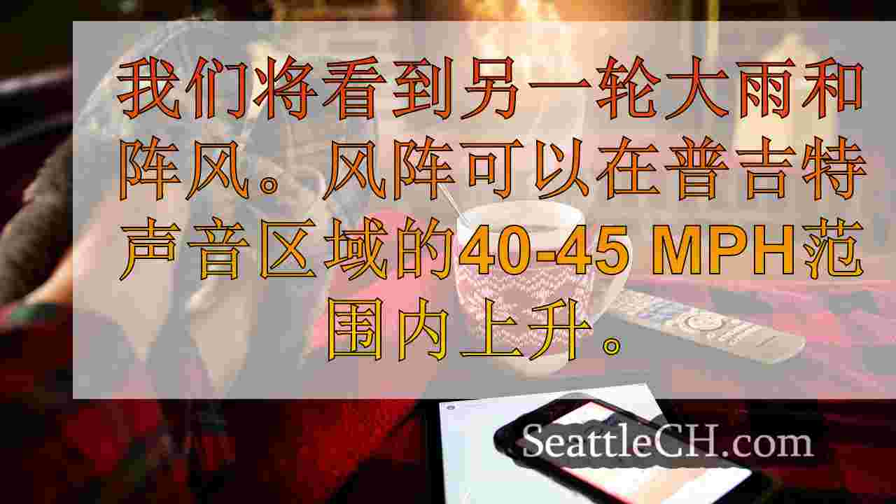西雅图新闻 SeattleCH