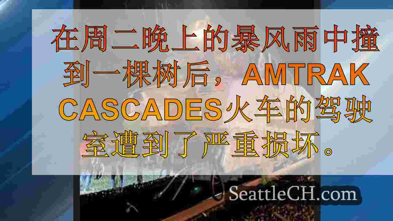 Amtrak Cascades火车撞到Snohomish县的轨道上