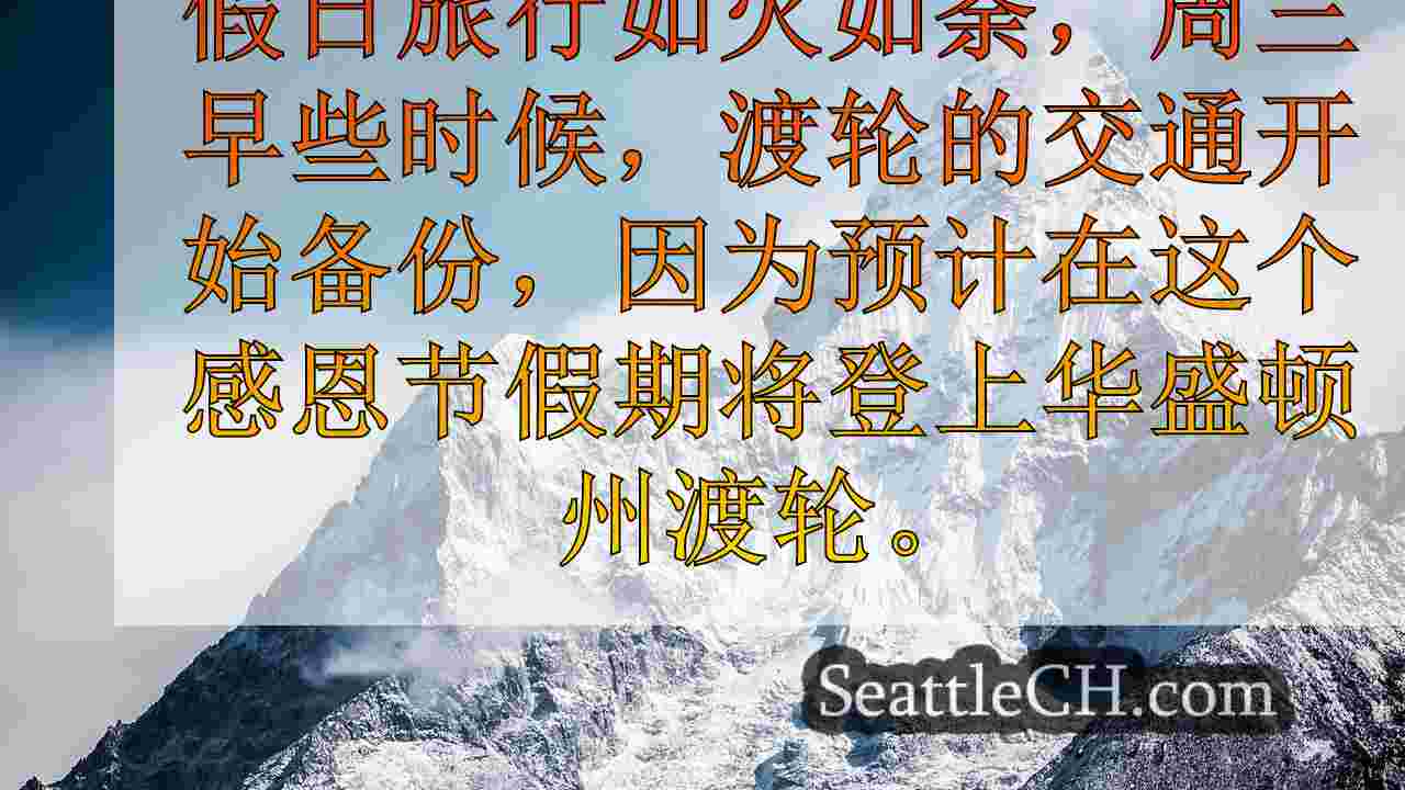 WA渡轮旅行者在长队，繁忙的路线和假日时间表中航行