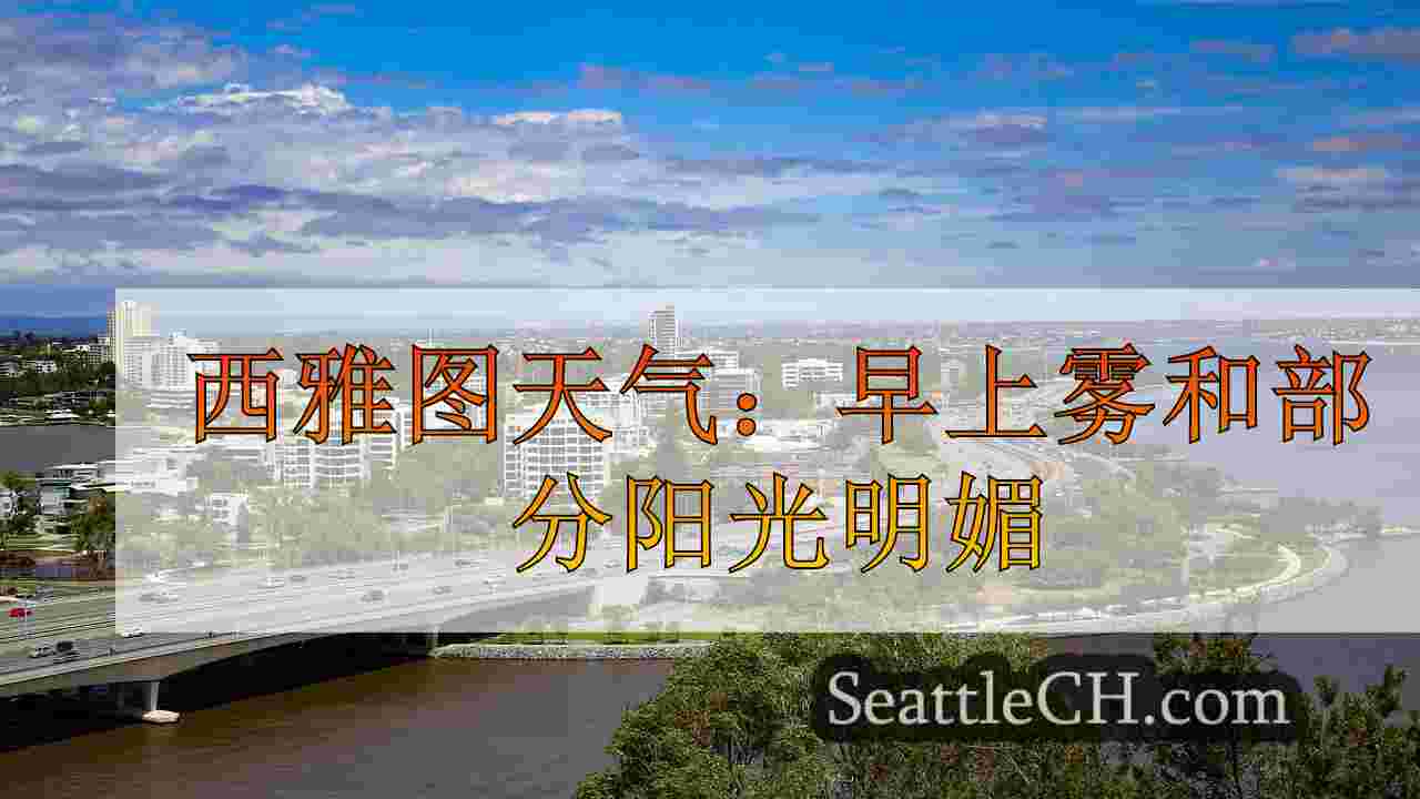 西雅图新闻 SeattleCH