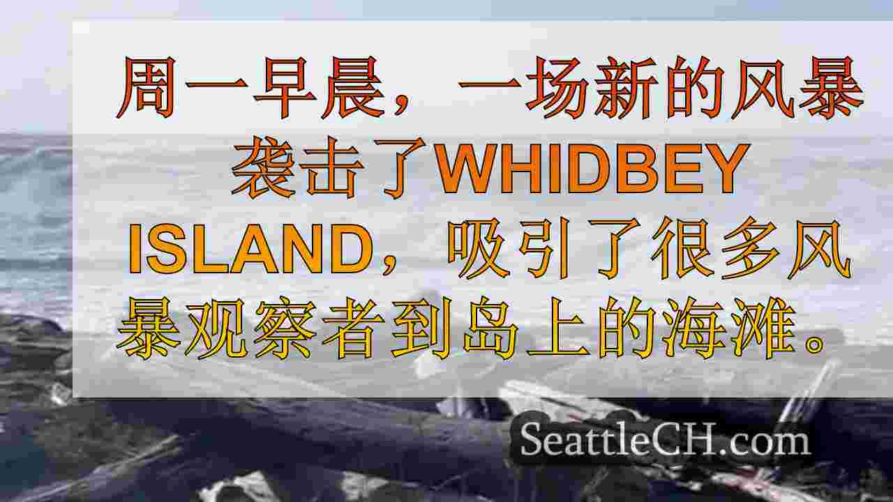 西雅图新闻 SeattleCH