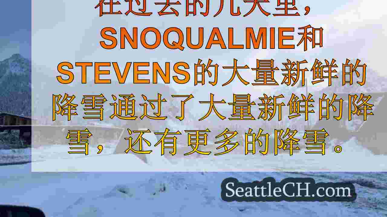 西雅图新闻 SeattleCH