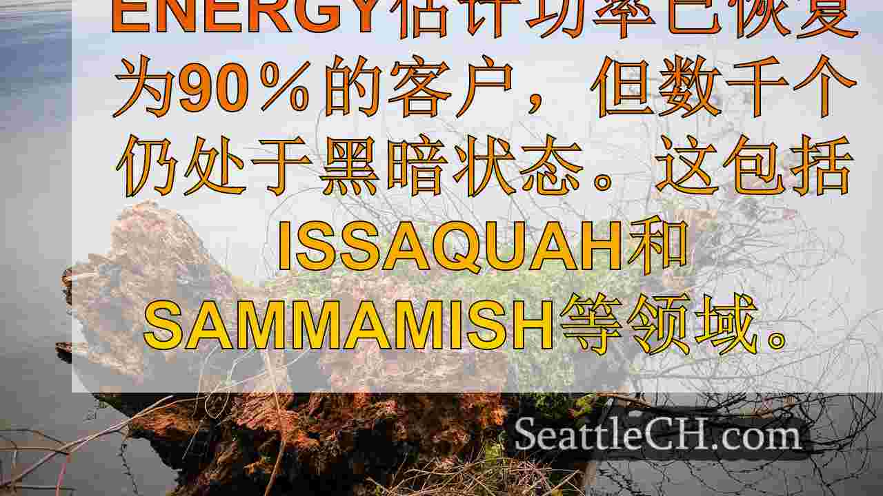 PSE以“重大损害”为由推迟停电恢复时间表