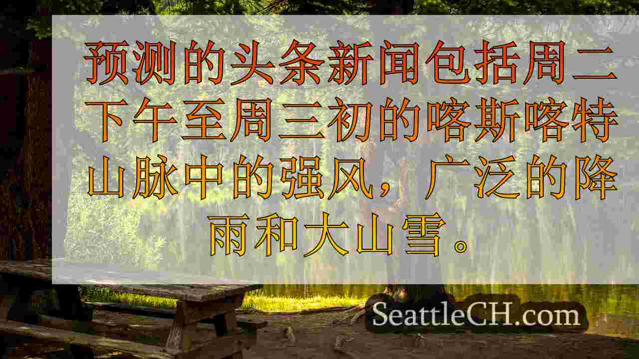 西雅图新闻 SeattleCH