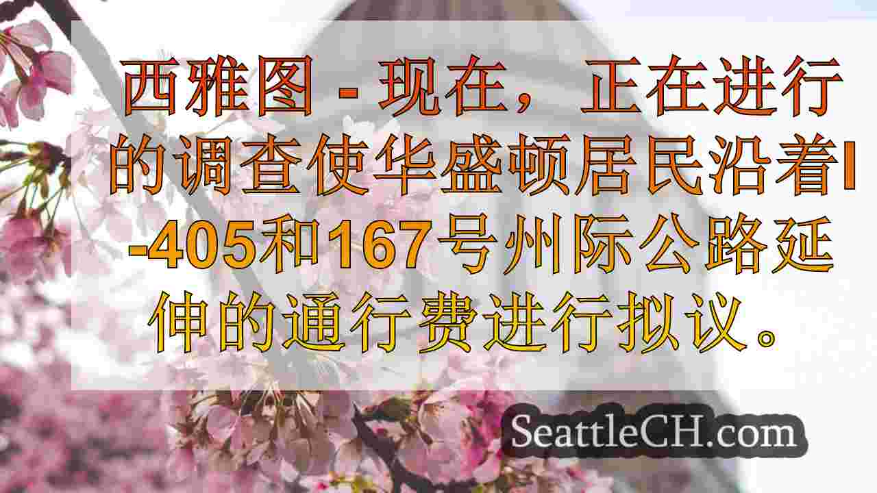 西雅图新闻 SeattleCH
