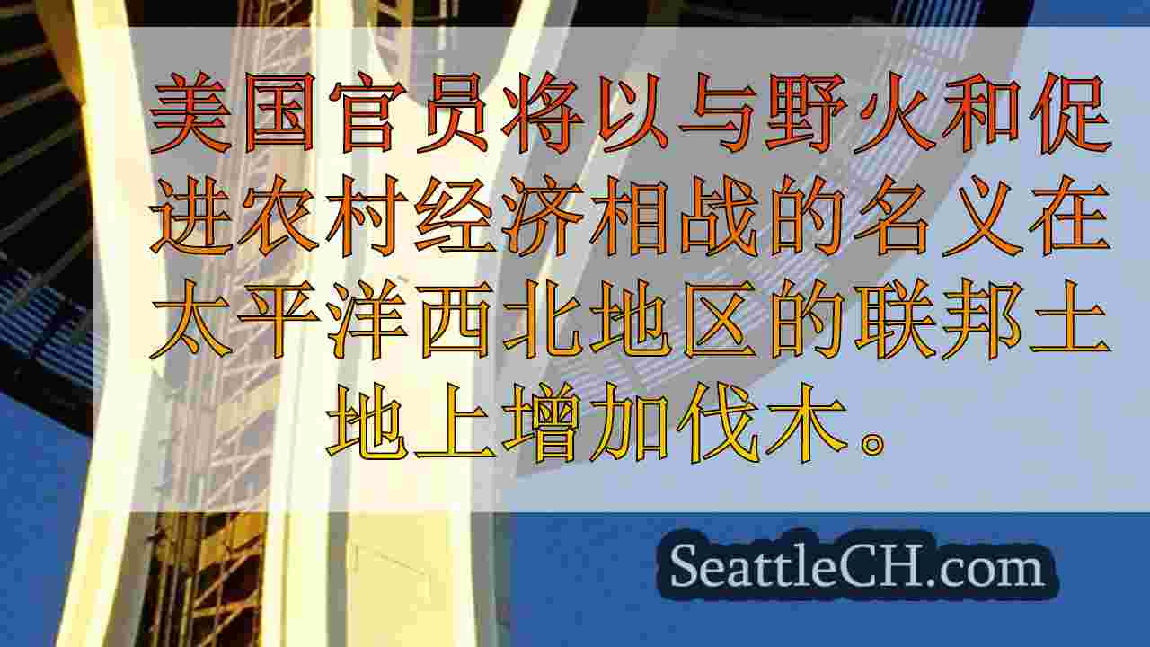 西雅图新闻 SeattleCH