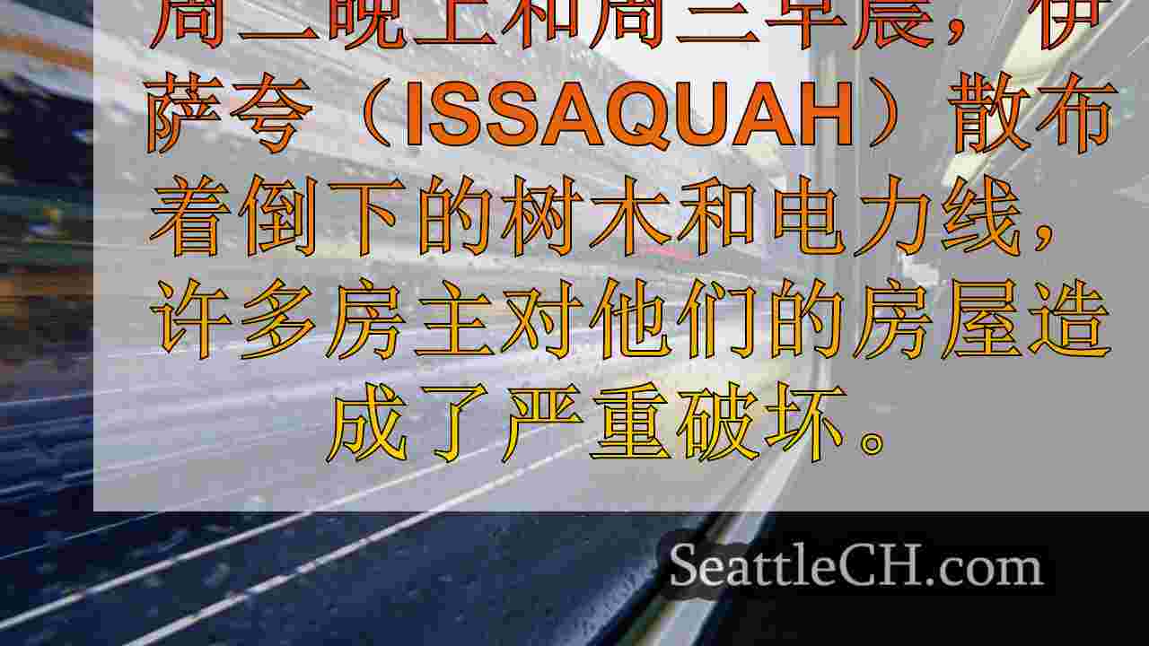 西雅图新闻 SeattleCH