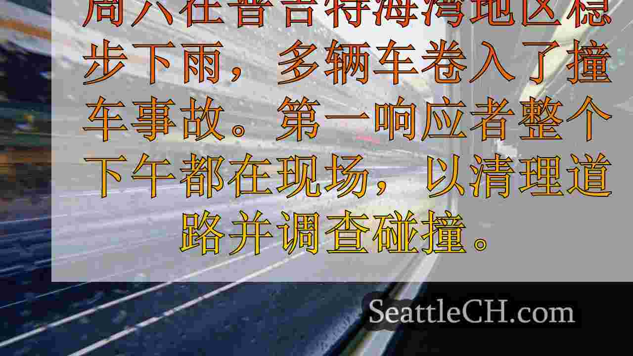 西雅图新闻 SeattleCH